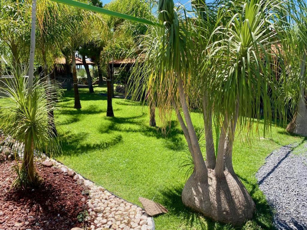 Cabana Magnolias Con Albercajacuzzi Tequisquiapan Εξωτερικό φωτογραφία